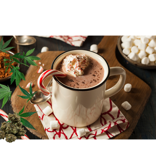 Sip the Season with Our Infused Hot Chocolate Recipe!