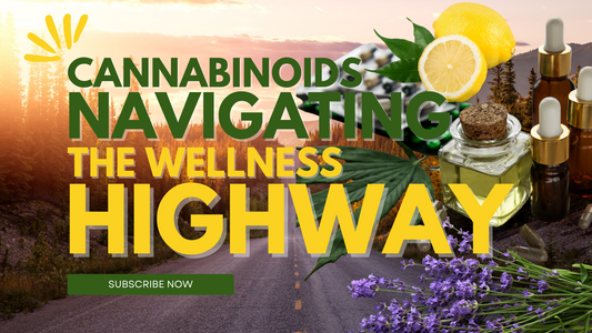 Cannabinoids Unveiled: Navigating the Wellness Highway