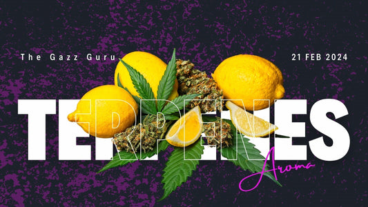 Terpene Talez: A Guide to the Symphony of Scents