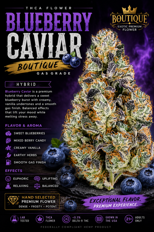 THCA BLUEBERRY CAVIAR (BOUTIQUE) (Hybrid)
