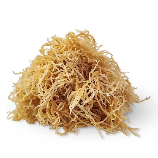 SEA MOSS FULL SPECTRUM RAW NATURAL 1 oz