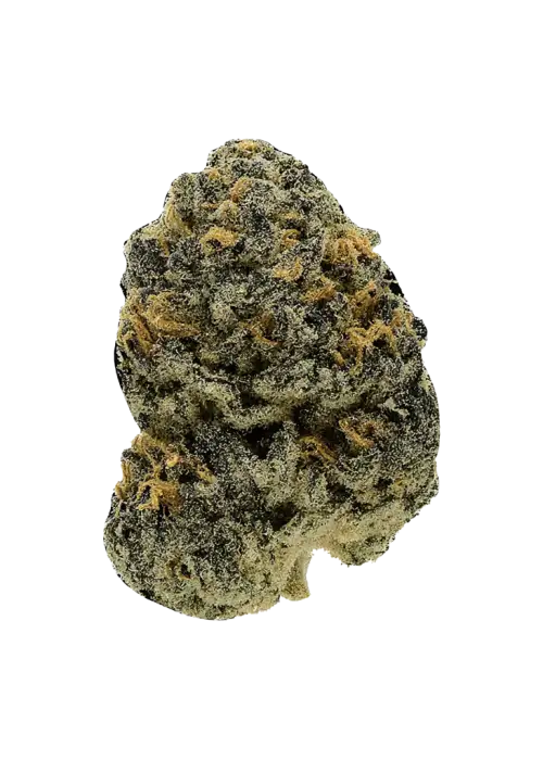 THCA STARDAWG (BOUTIQUE) (Sativa)