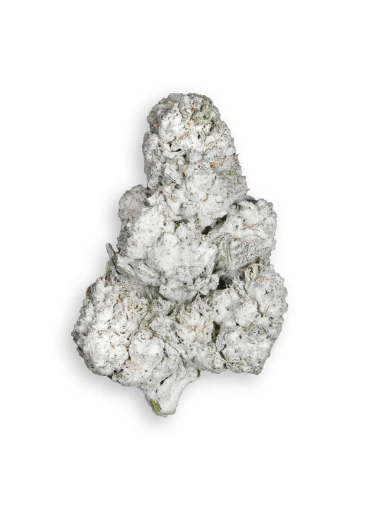 GAZZ GODZ SNOWCAPS