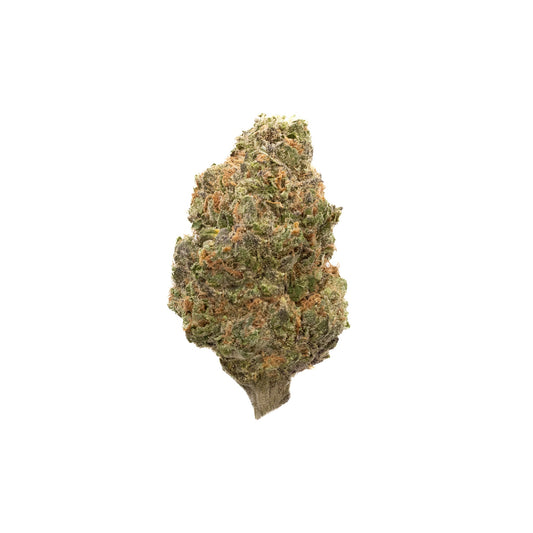 THCA THE FUNK (BOUTIQUE) (Hybrid)