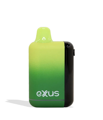 SNAP DLX 510 VOLTAGE BATTERY