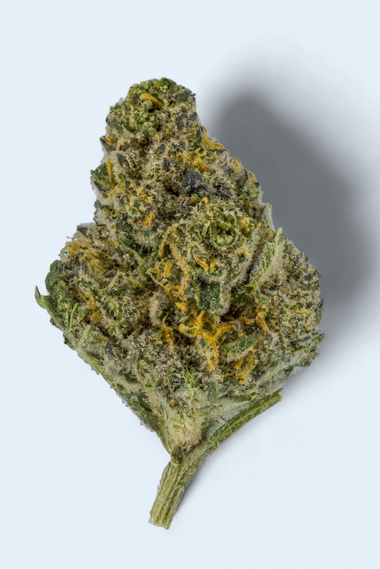 ICE CREAM CAKE (89) (Hybrid)