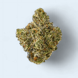 THCA PURPLE LEMON PUNCH (93) (Sativa)