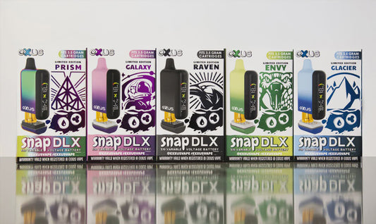 SNAP DLX 510 VOLTAGE BATTERY
