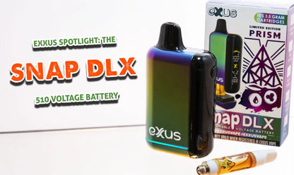 SNAP DLX 510 VOLTAGE BATTERY